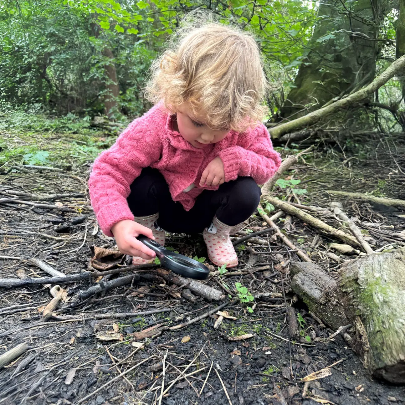 summer science activities for kids