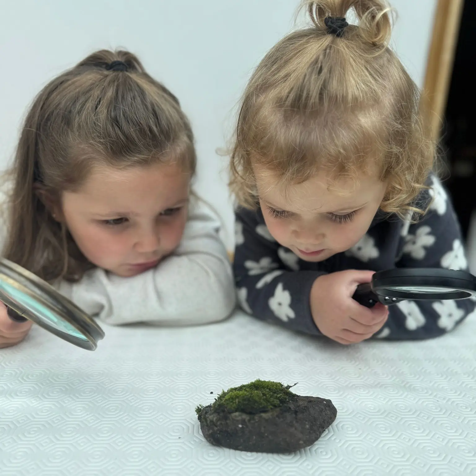 From Mini Beasts to Mini Plants: A Nature Discovery Journey