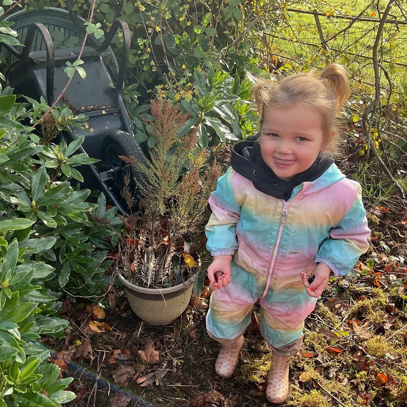 examining her Curiosity Pot