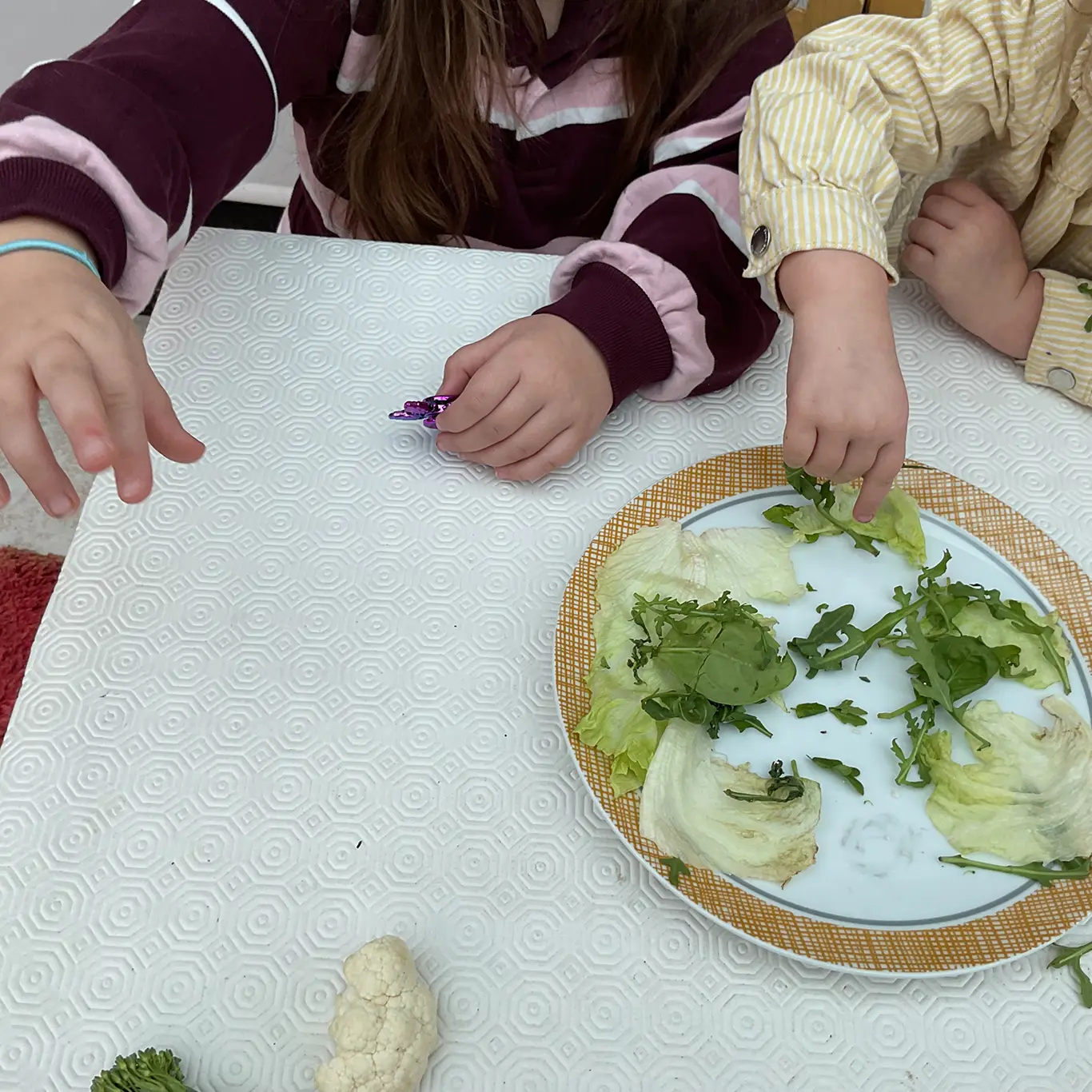 Building a habitat model